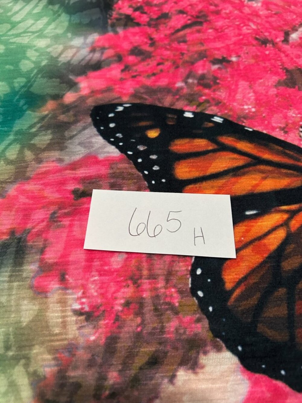 Coral Bay Butterfly Print Short Sleeve Top Size Large Spring Summer Aesthetic - Picture 9 of 10